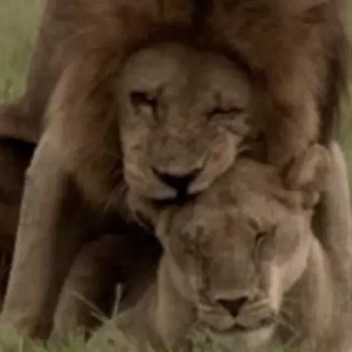 Girls doing jobs sticker 11