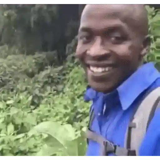 YOyo Memes sticker 1