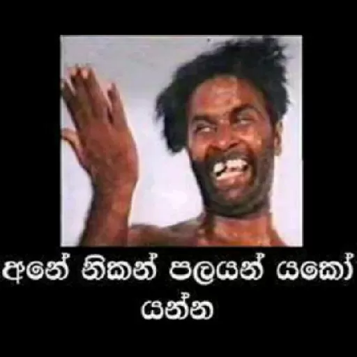 Sinhala Meme Mega Pack 7 sticker 7
