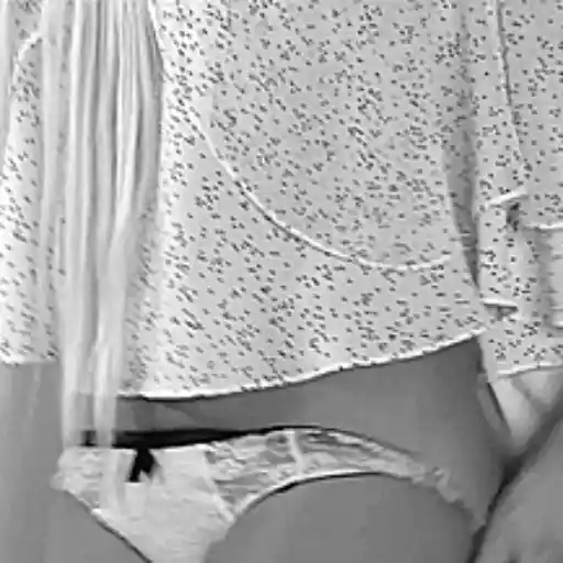 Panties Down sticker 20