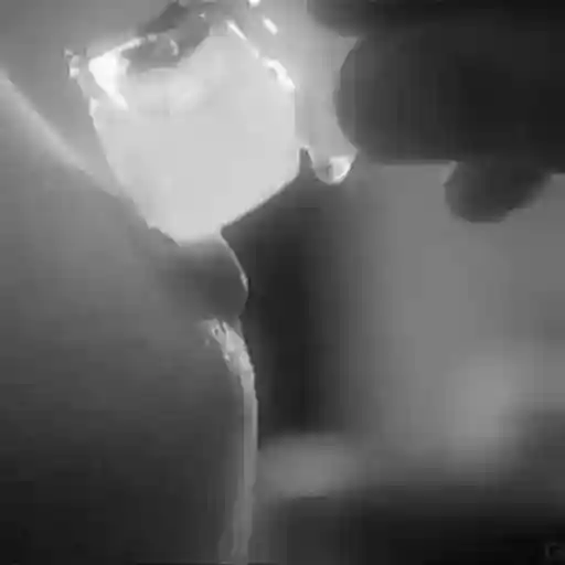 Fuck fest pack sticker 8