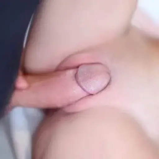 Pussy world sticker 16