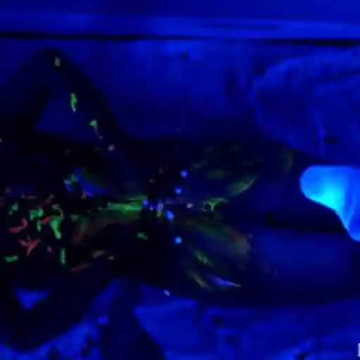 Sex and Lights sticker 21