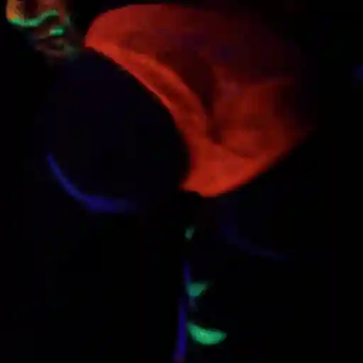 Sex and Lights sticker 6