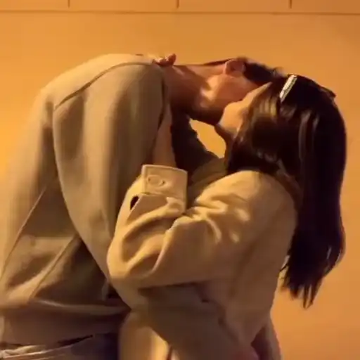 Love birds sticker 14