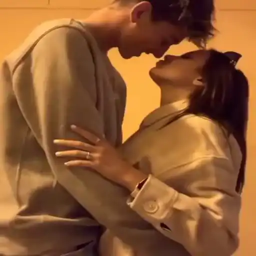 Love birds sticker 15