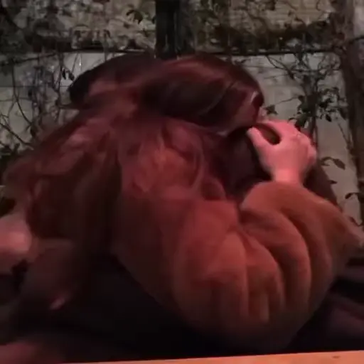 Love birds sticker 3