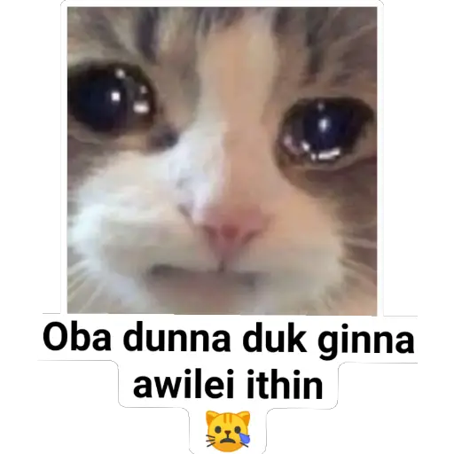 Sinhala cat memes sticker 1