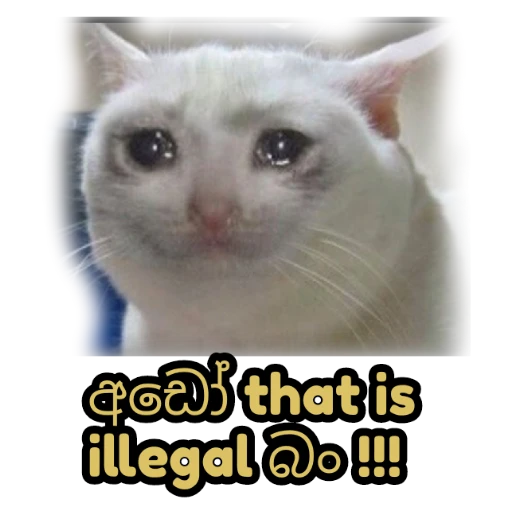 Sinhala cat memes sticker 2