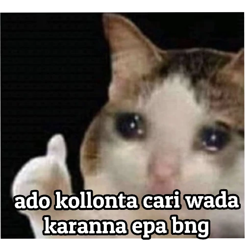 Sinhala cat memes sticker 4