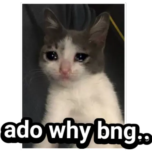 Sinhala cat memes sticker 5