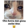 Sinhala cat memes tray icon