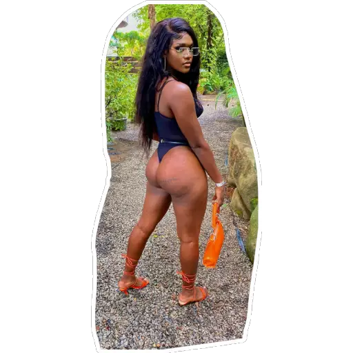 Sexy Ebony sticker 18