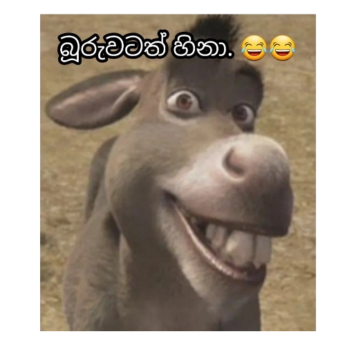 Saththu Waththatama Hina Oi sticker 5