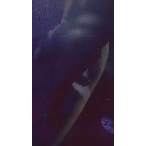 Nailing black chicks sticker 30