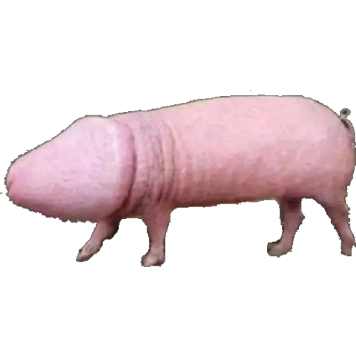 Weird but porn sticker 5
