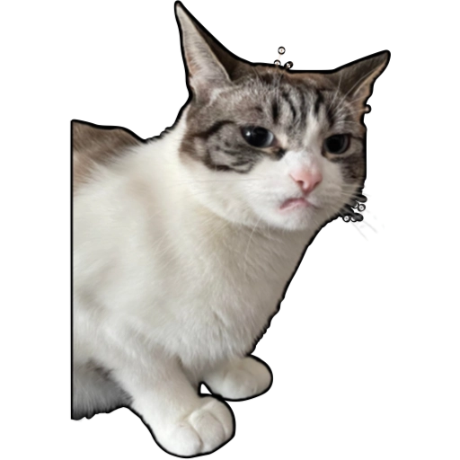 Cats n Kittens 2 sticker 5