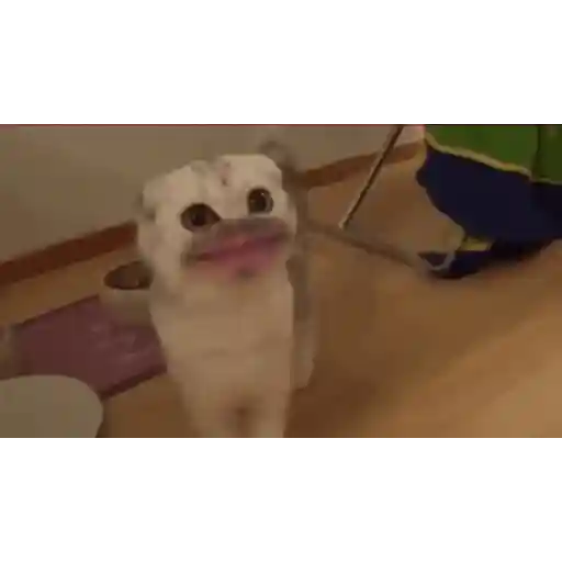 Cats n Kittens 2 sticker 7