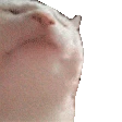 Cats n Kittens 2 sticker 9