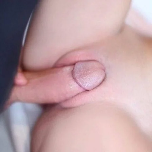 Pussy day sticker 28