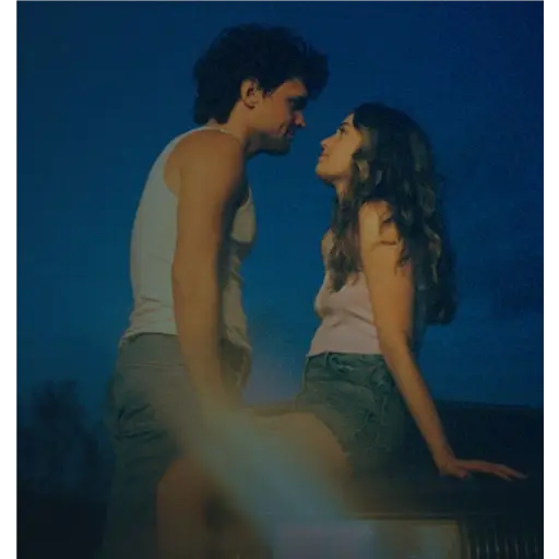 Happy Couples sticker 9