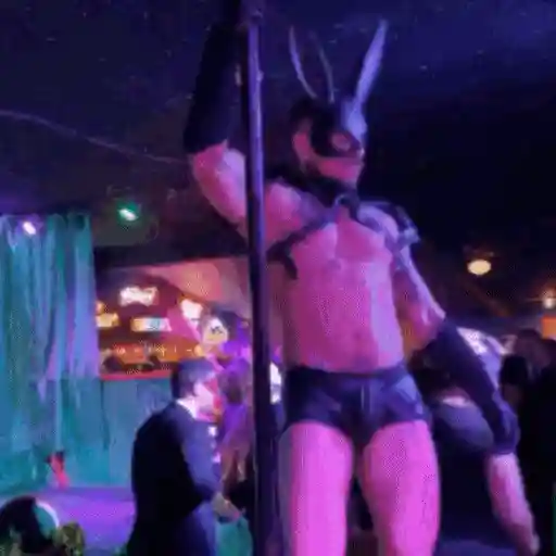 Pole dancers sticker 12