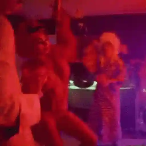 Pole dancers sticker 13