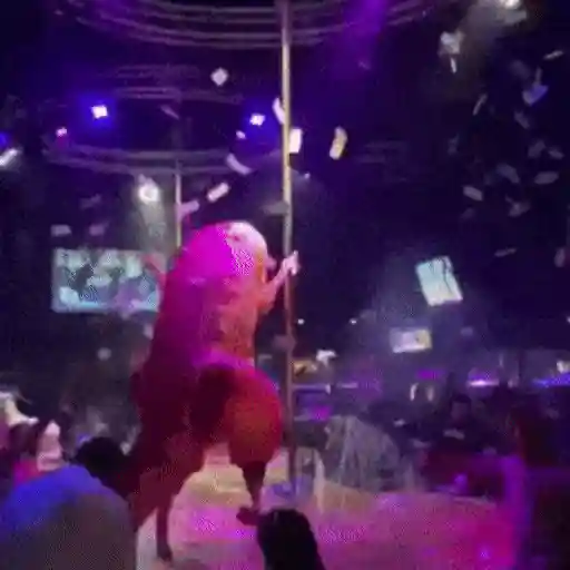 Pole dancers sticker 15