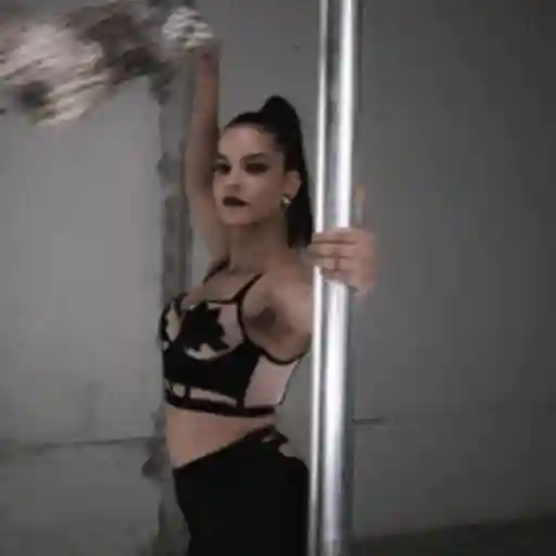 Pole dancers sticker 21