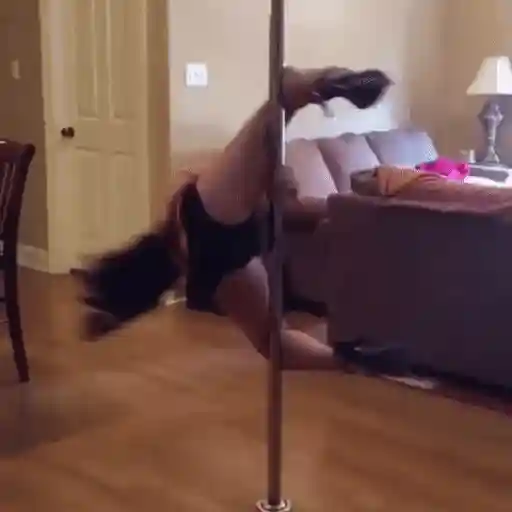 Pole dancers sticker 26