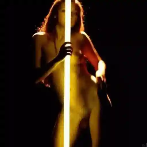 Pole dancers sticker 30