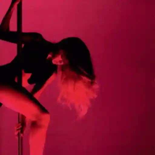 Pole dancers sticker 5