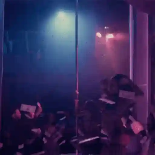 Pole dancers sticker 6