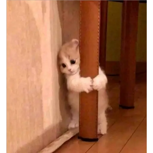 Almost Sad Cats sticker 11