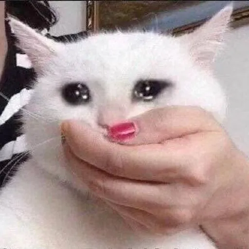 Almost Sad Cats sticker 12