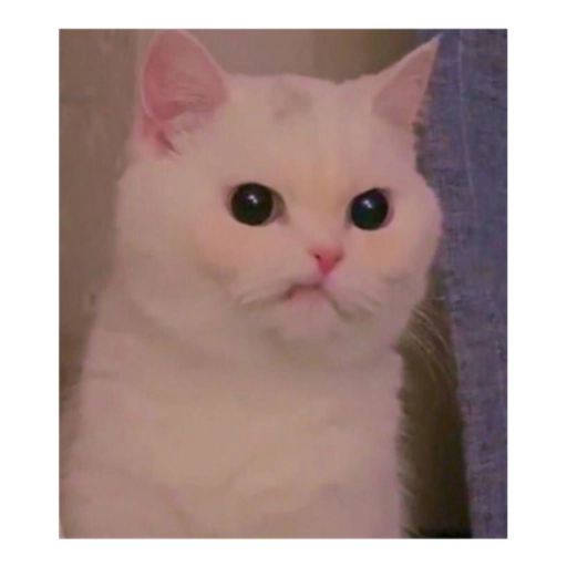 Almost Sad Cats sticker 13