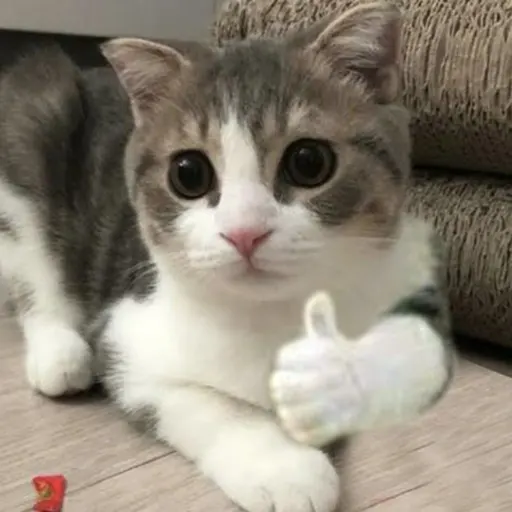 Almost Sad Cats sticker 14