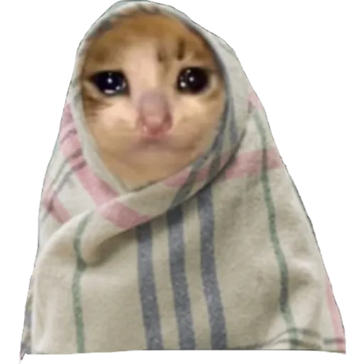 Almost Sad Cats sticker 15