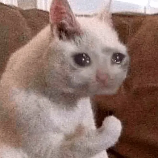 Almost Sad Cats sticker 7