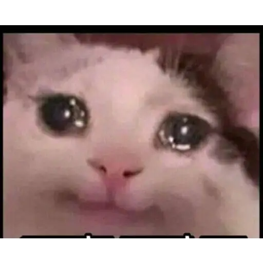 Almost Sad Cats sticker 8