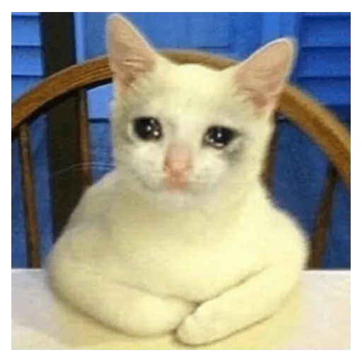 Almost Sad Cats sticker 9