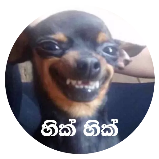 Sinhala Pack Extra sticker 2