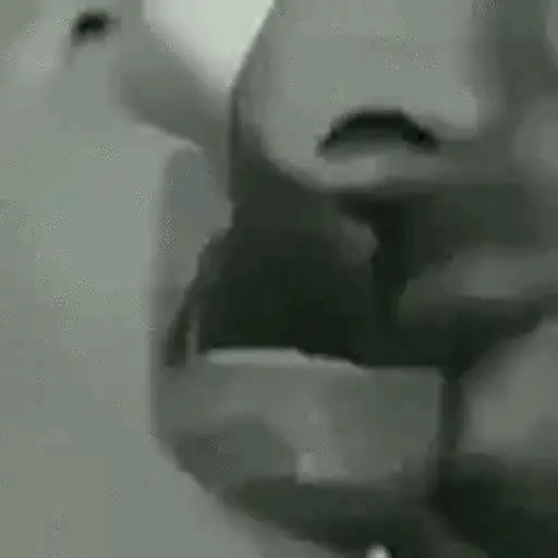 Love vs sex sticker 16