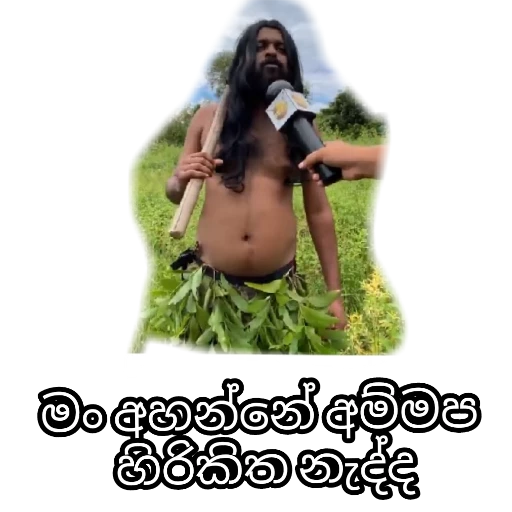 Wasthi Pack 1 sticker 2