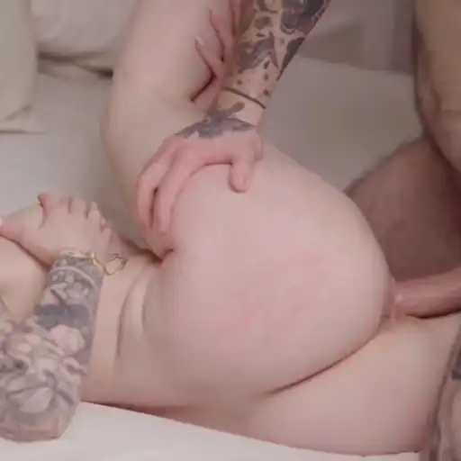 Dicks in pussy sticker 8