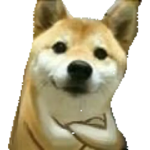 Dog Bois sticker 2