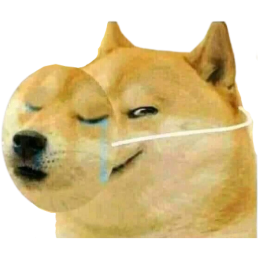 Dog Bois sticker 4
