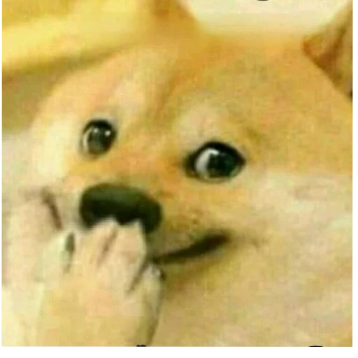 Dog Bois sticker 5