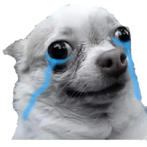 Dog Bois sticker 6