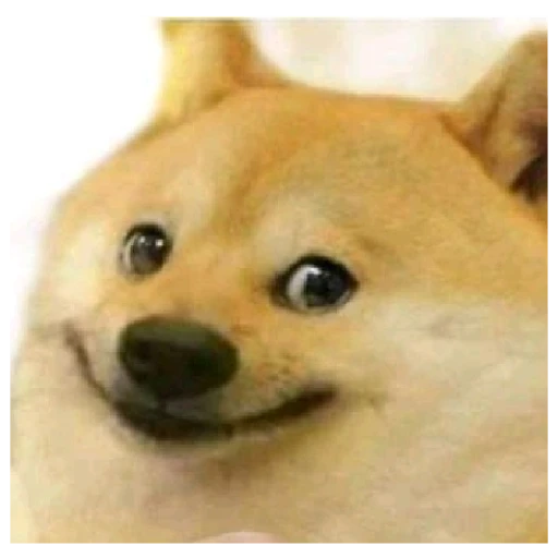 Dog Bois sticker 7